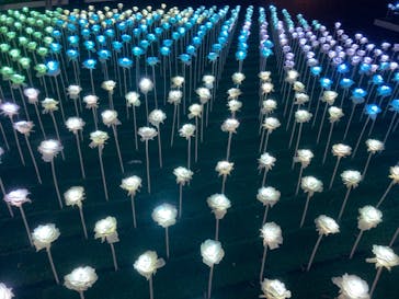 東京メガイルミに投稿された画像（2022/12/25）