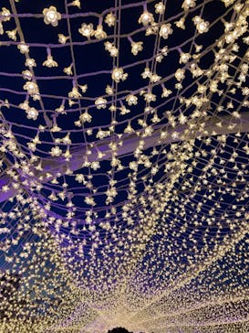 東京メガイルミに投稿された画像（2022/12/25）