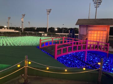 東京メガイルミに投稿された画像（2022/12/25）