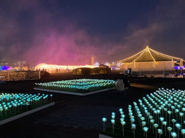 東京メガイルミに投稿された画像（2022/12/25）