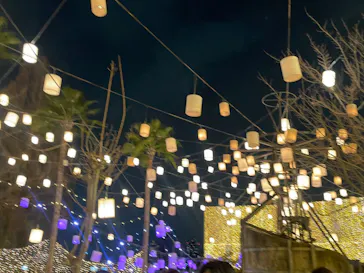 ひらかたパークに投稿された画像（2022/12/25）