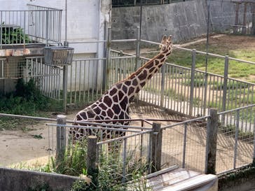 沖縄こどもの国に投稿された画像（2022/12/25）