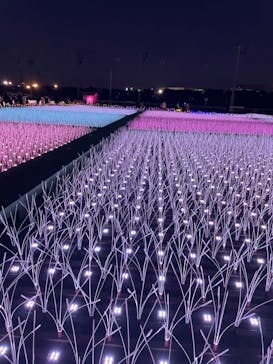 東京メガイルミに投稿された画像（2022/12/25）