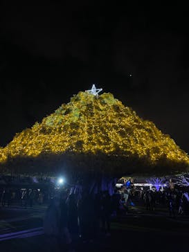 東京メガイルミに投稿された画像（2022/12/25）