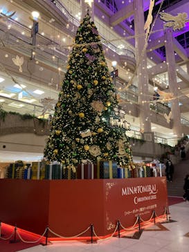 横浜ランドマークタワー 69階展望フロア スカイガーデンに投稿された画像（2022/12/25）