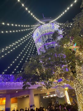 江の島シーキャンドルに投稿された画像（2022/12/25）