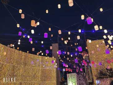 ひらかたパークに投稿された画像（2022/12/25）