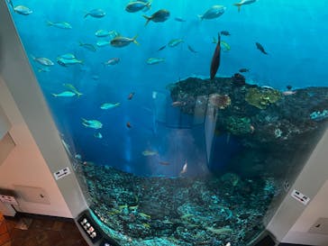 登別マリンパークニクスに投稿された画像（2022/12/26）