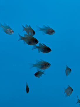 登別マリンパークニクスに投稿された画像（2022/12/26）