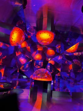 登別マリンパークニクスに投稿された画像（2022/12/26）