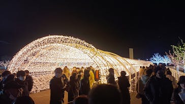 東京メガイルミに投稿された画像（2022/12/26）