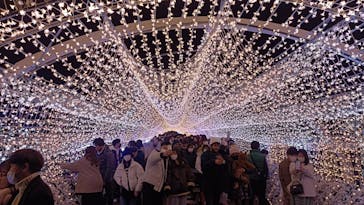 東京メガイルミに投稿された画像（2022/12/26）