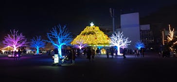 東京メガイルミに投稿された画像（2022/12/26）