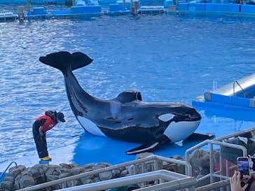 名古屋港水族館に投稿された画像（2022/12/26）