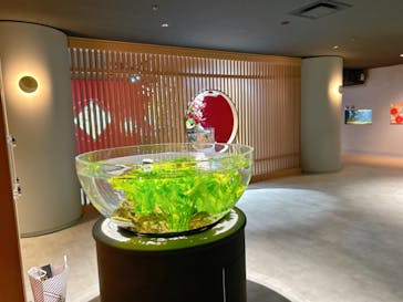 スマートアクアリウム静岡に投稿された画像（2022/12/26）