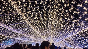 東京メガイルミに投稿された画像（2022/12/26）