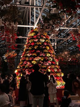 なばなの里に投稿された画像（2022/12/26）