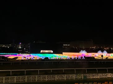 東京メガイルミに投稿された画像（2022/12/26）