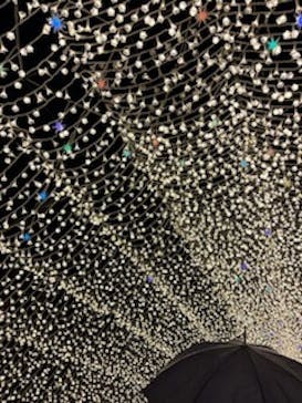 なばなの里に投稿された画像（2022/12/26）