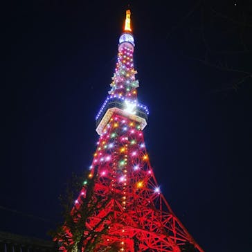 東京メガイルミに投稿された画像（2022/12/26）