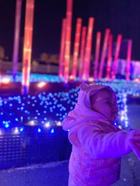 東京メガイルミに投稿された画像（2022/12/26）