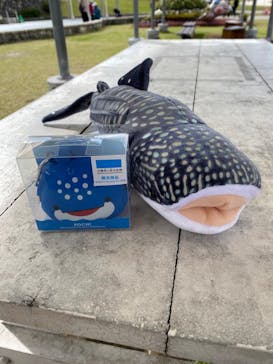 沖縄美ら海水族館に投稿された画像（2022/12/26）