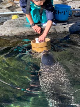 箱根園水族館に投稿された画像（2022/12/26）