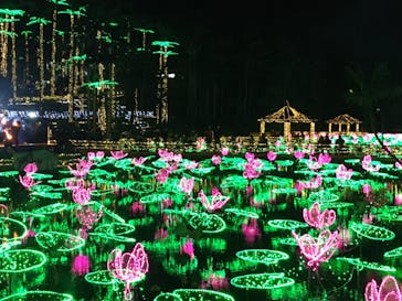 美らヤシパークオキナワ・東南植物楽園に投稿された画像（2022/12/26）