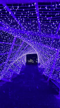 KYOTO ILLUMINATION SYNESTHESIA HILLS るり渓温泉に投稿された画像（2022/12/26）