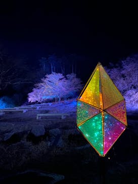 KYOTO ILLUMINATION SYNESTHESIA HILLS るり渓温泉に投稿された画像（2022/12/26）