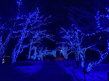 KYOTO ILLUMINATION SYNESTHESIA HILLS るり渓温泉に投稿された画像（2022/12/26）