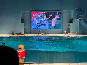 横浜・八景島シーパラダイスに投稿された画像（2022/12/26）