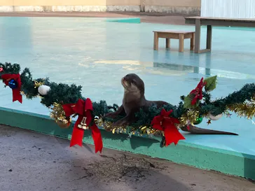 横浜・八景島シーパラダイスに投稿された画像（2022/12/26）