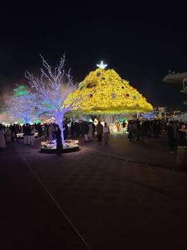 東京メガイルミに投稿された画像（2022/12/26）