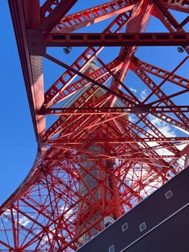 東京タワーに投稿された画像（2022/12/26）