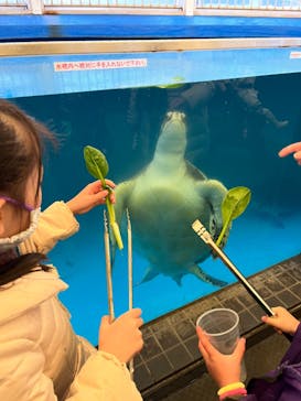 越前松島水族館に投稿された画像（2022/12/26）