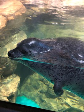 アクアワールド茨城県大洗水族館に投稿された画像（2022/12/26）