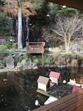箱根湯本温泉 天成園に投稿された画像（2022/12/26）