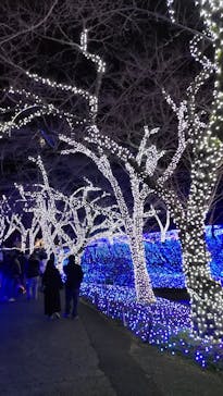 さがみ湖MORI MORIに投稿された画像（2022/12/26）