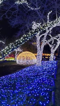 さがみ湖MORI MORIに投稿された画像（2022/12/26）