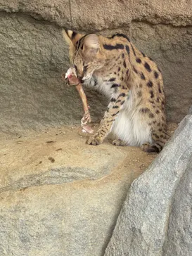 神戸どうぶつ王国に投稿された画像（2022/12/26）