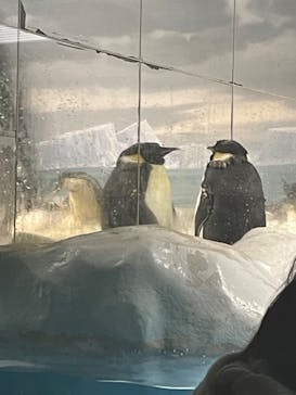 名古屋港水族館に投稿された画像（2022/12/26）
