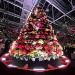 なばなの里に投稿された画像（2022/12/26）