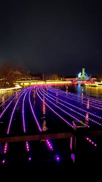 なばなの里に投稿された画像（2022/12/26）