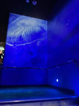 サンシャイン水族館に投稿された画像（2022/12/26）