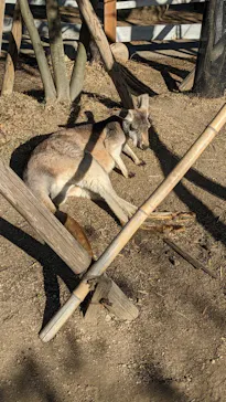 神戸どうぶつ王国に投稿された画像（2022/12/26）