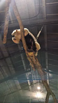 神戸どうぶつ王国に投稿された画像（2022/12/26）