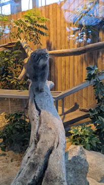 神戸どうぶつ王国に投稿された画像（2022/12/26）