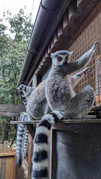 神戸どうぶつ王国に投稿された画像（2022/12/26）