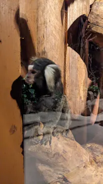 神戸どうぶつ王国に投稿された画像（2022/12/26）